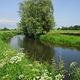 The conditions in the last two years in the UK have made water management a challenge for all.